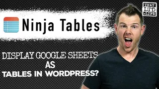 Ninja Tables Pro Review: WordPress Tables Made Easy